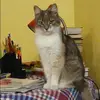 Отзыв от Галя Корнеева